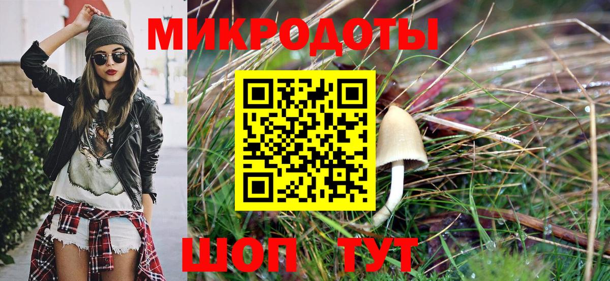 Галлюциногенные грибы мицелий Кондопога