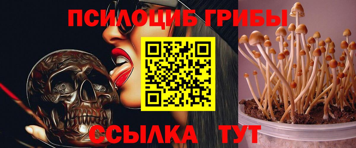 Кондопога  Псилоцибиновые грибы Magic Shrooms  Вход с VPN 