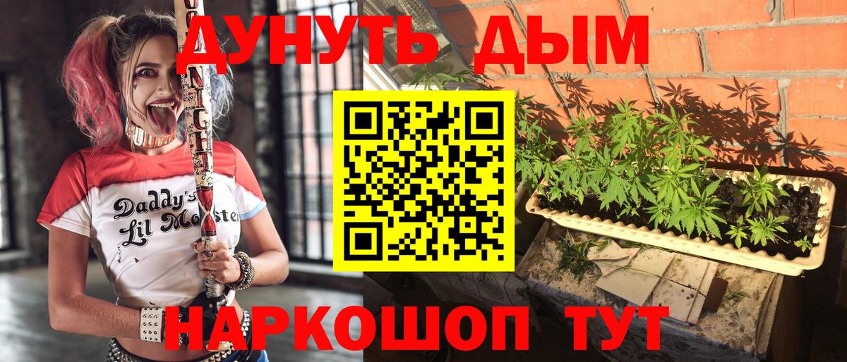 Бошки марихуана план Кондопога